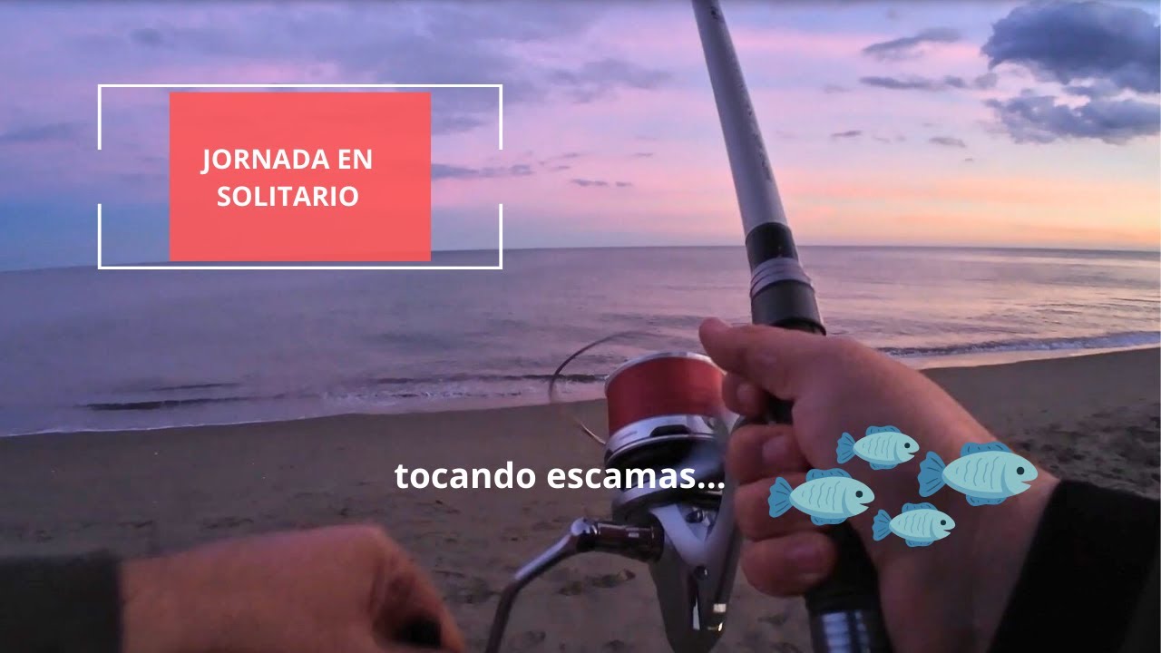 Jornada en solitario tocando escamas 🐟🐟
