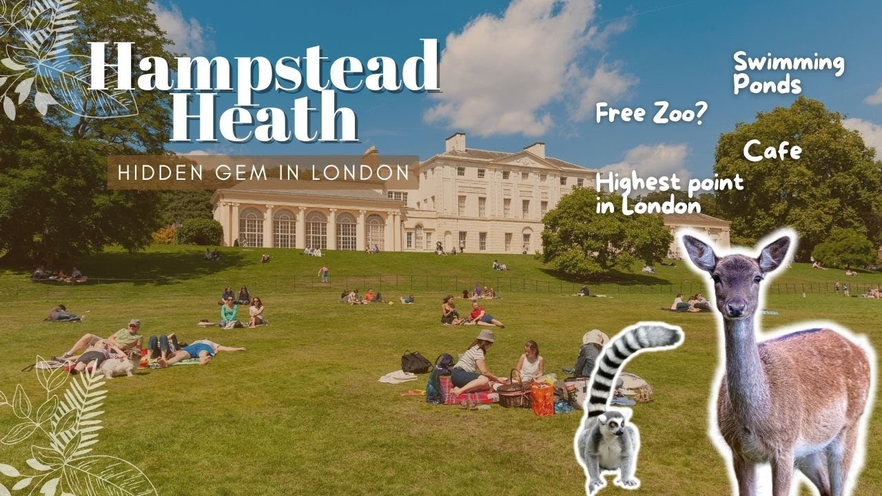 Best things to do in Hampstead Heath | Exploring London | Free Zoo