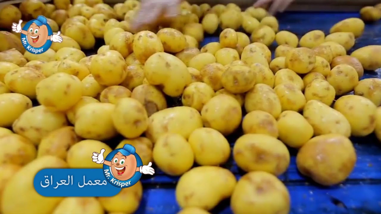 انتاج شیبس بطاطا طبيعي شيبس ميتو و مستركرسبر