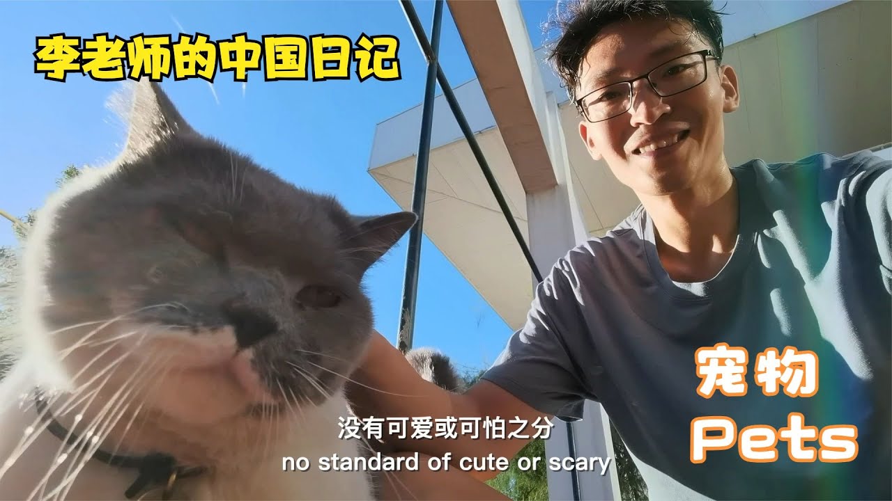 宠物 Pets