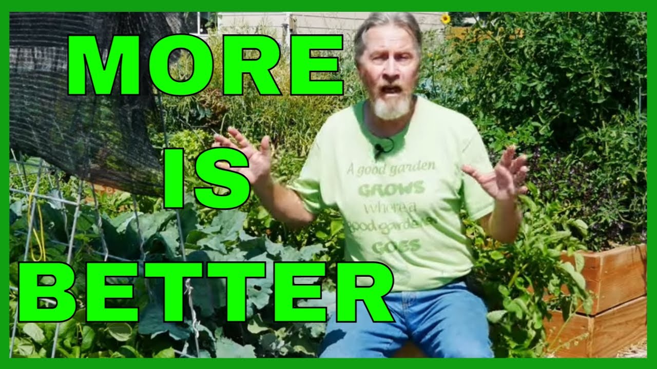 Polyculture - SECRET to Gardening Success