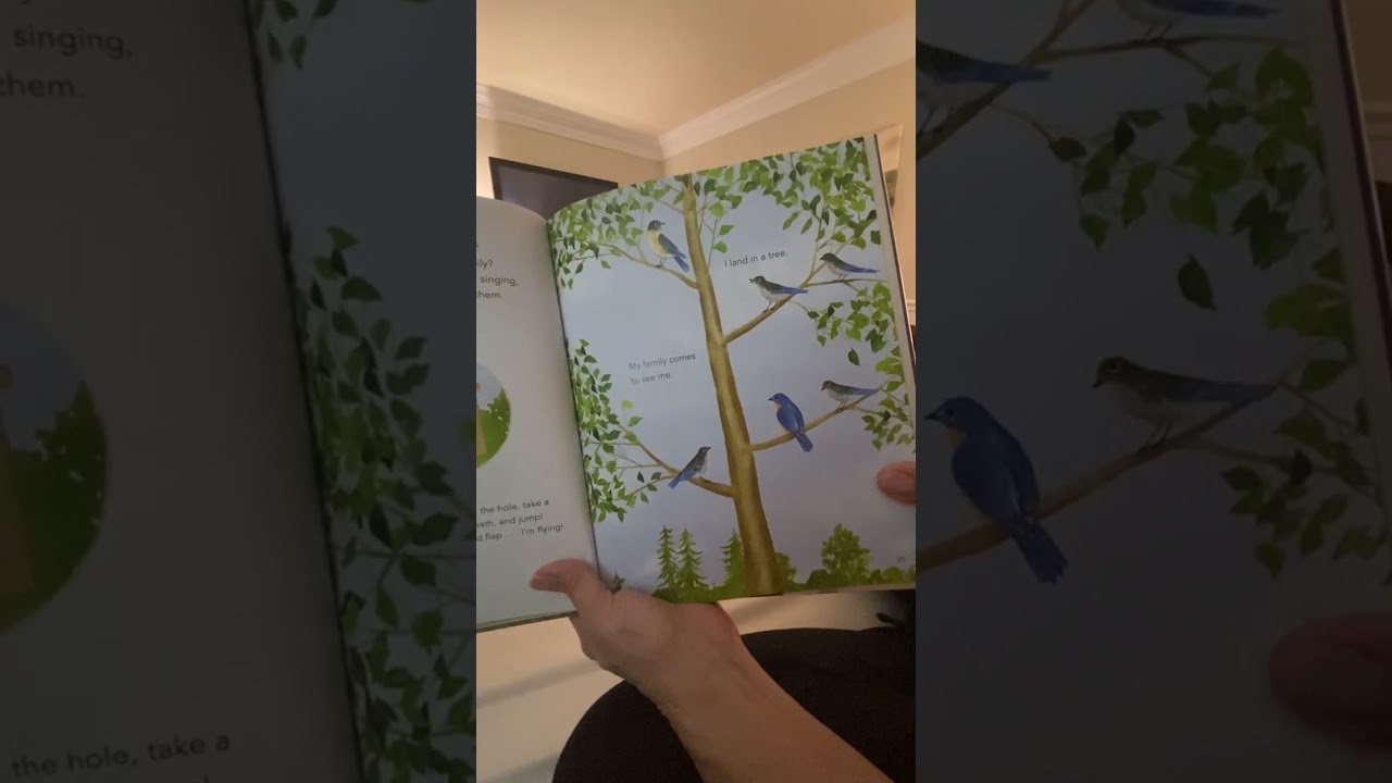 Сказка на ночь «Мой счастливый год». Озвучено Э. Блюберд, иллюстрации Пола Мейзела.