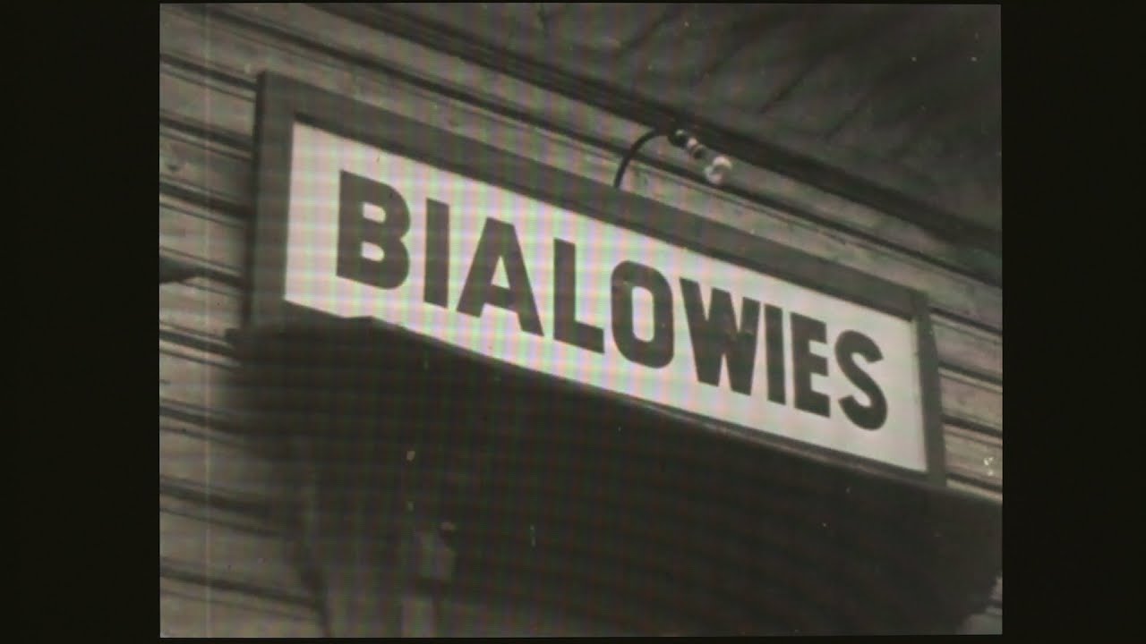 Białowieża 1943 rok. Film absolutnie sensacyjny