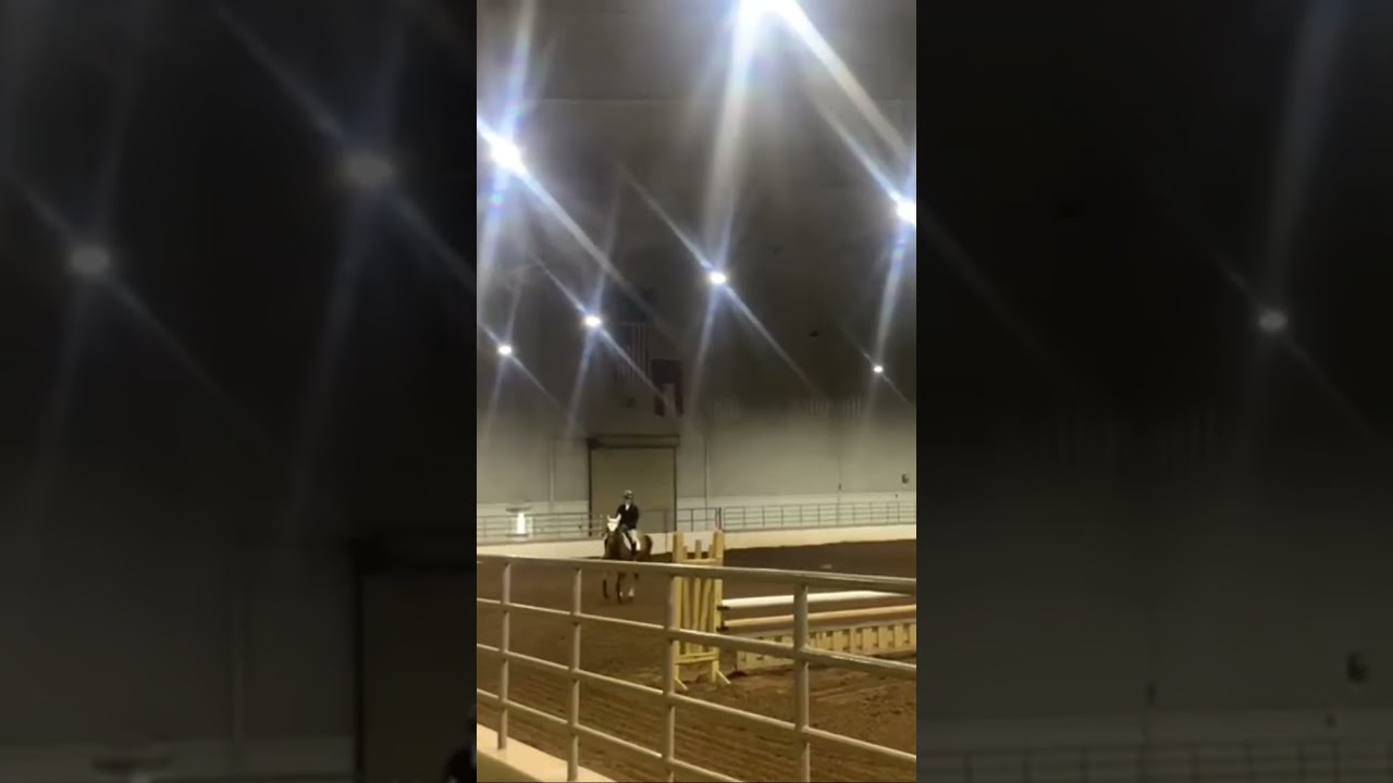 4-H regionals fail 😕 #horse #horseriding #equestrian #horselife #short ￼