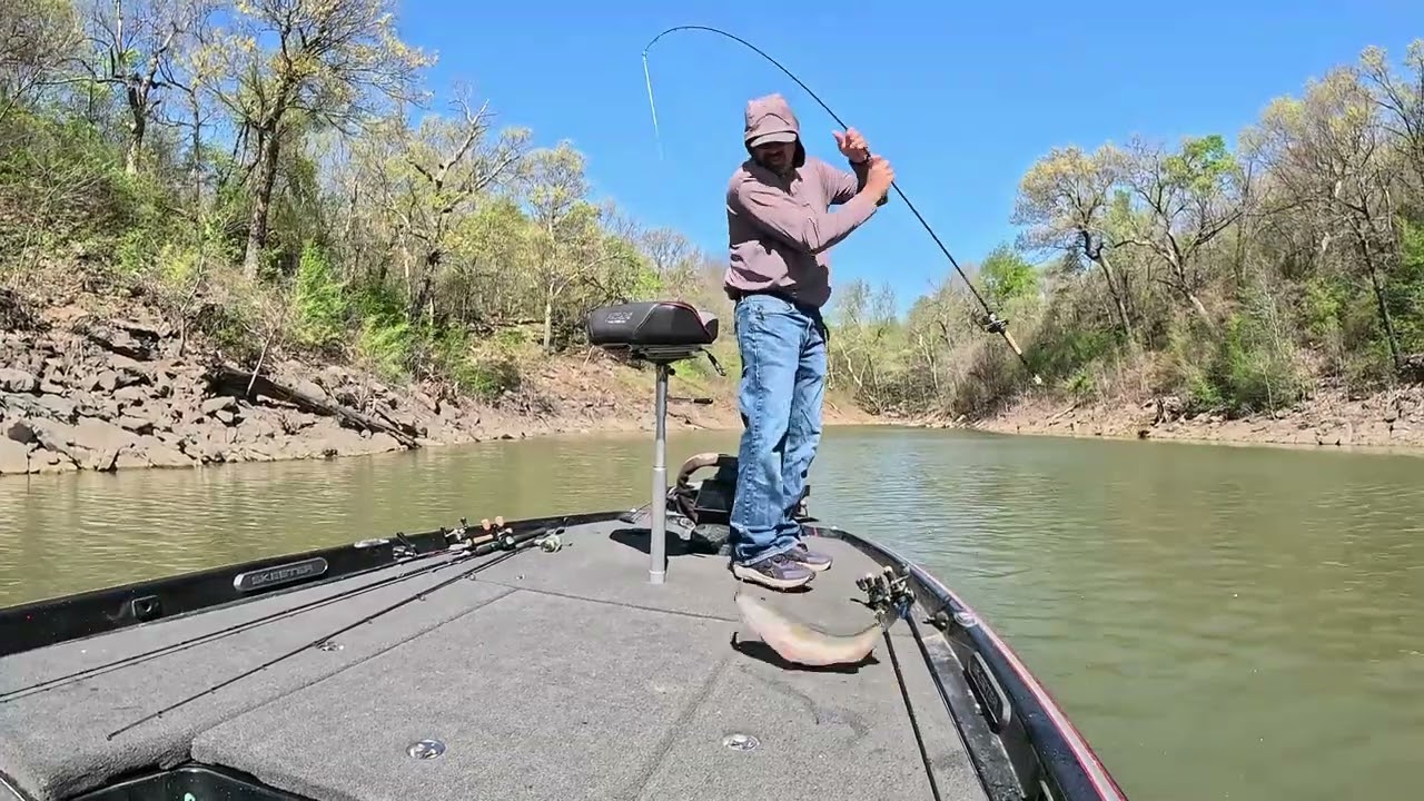 A short day on the local pond