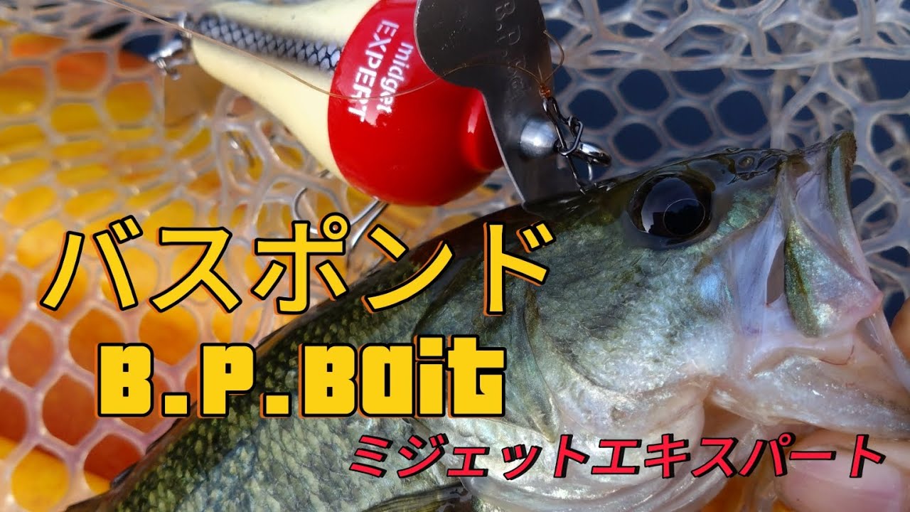 バスポンド ミジェットエキスパート