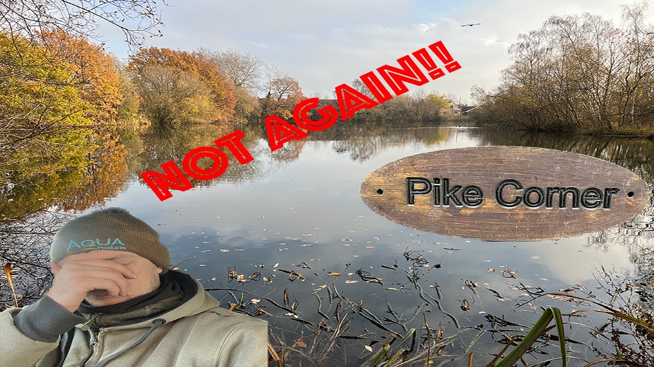 Наживка для щуки || Selby 3 Lakes