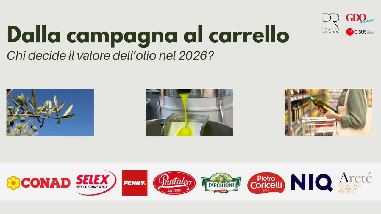 Dalla campagna al carrello: chi decide il valore dell olio nel 2026?