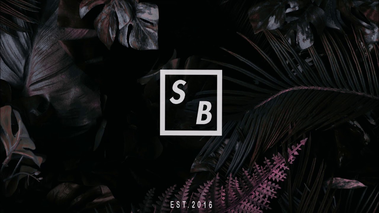 j.robb - brwnsuga (feat. ny odus)