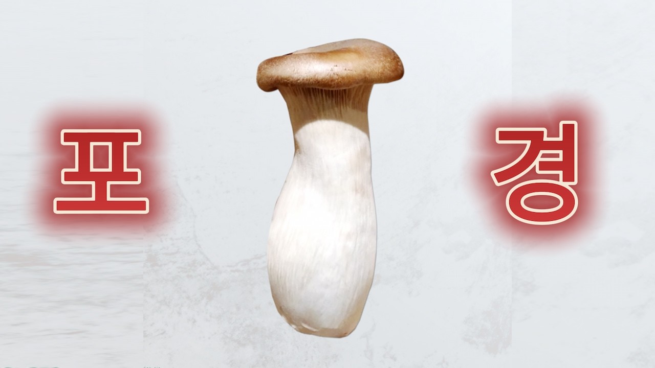 보너스 영상 포경수술 이야기