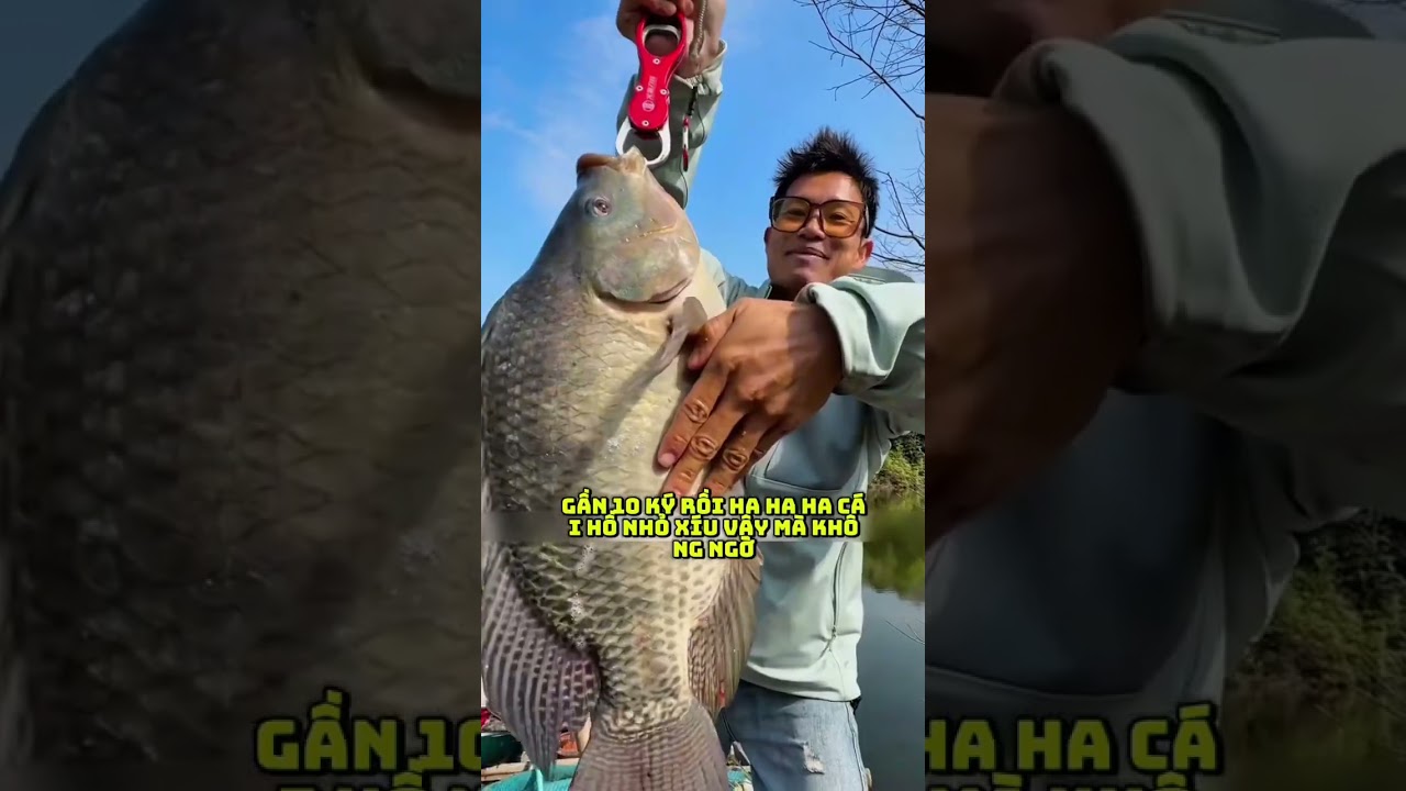 Toàn hàng khủng thôi anh em ạ:))#caudai#caucathugian #hodichvu#trungquocs