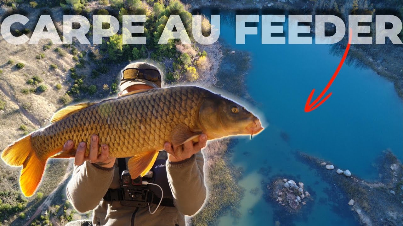 Cette technique feeder m’a permis de toucher la carpe en gravière
