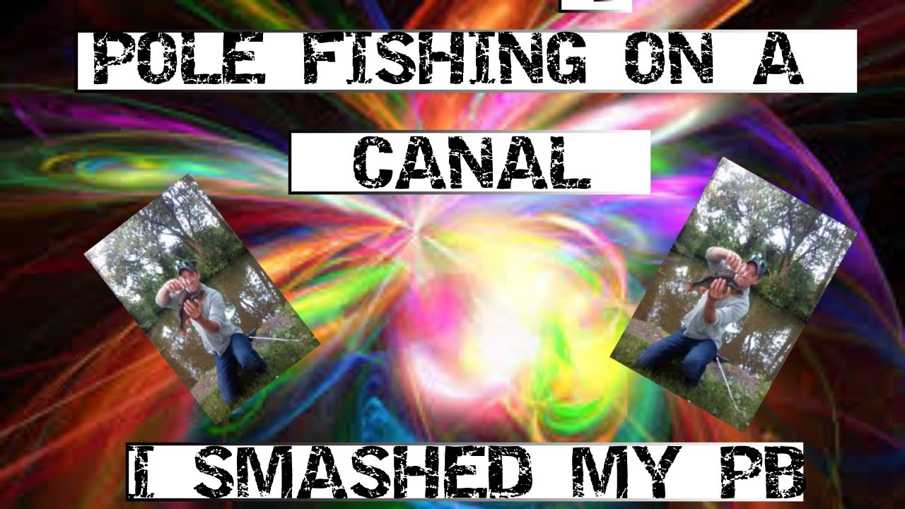 look at what I caught ON MY LOCAL CANAL. MASSIVE PERCH #newbeginingsfishing #fishing #bigperch