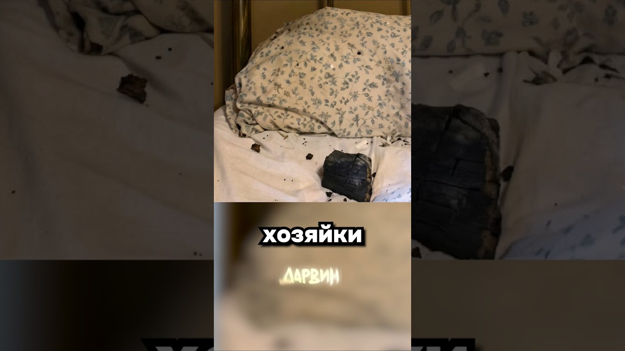 Деньги упали с неба