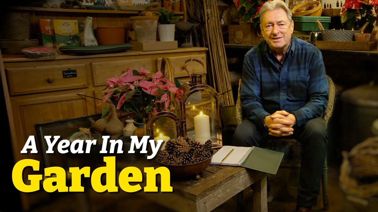 One Year in My Garden: What Worked and What Didn't! - Part One