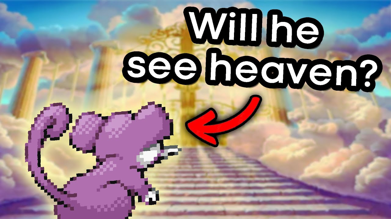 Rattata To The TOP - The Journey Begins