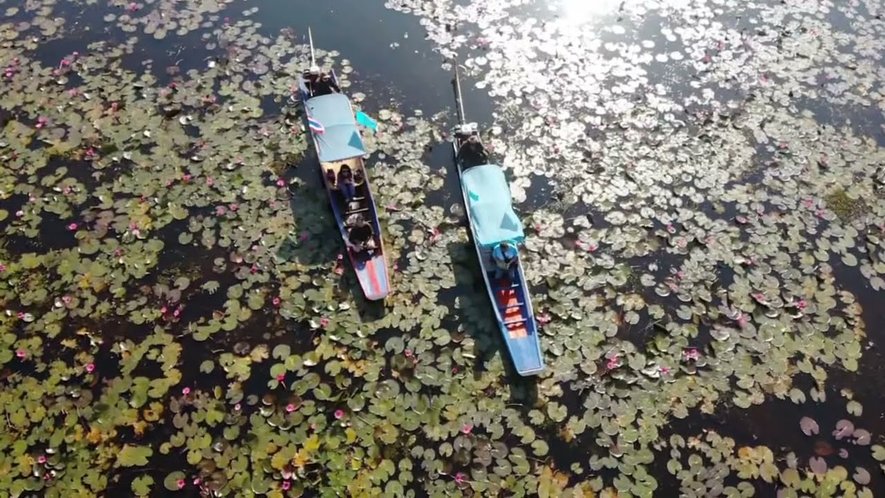 粉紅地平線#紅蓮湖#Nong Han Kumphawapi Lake #世界十大奇湖#drone #dji #thailand