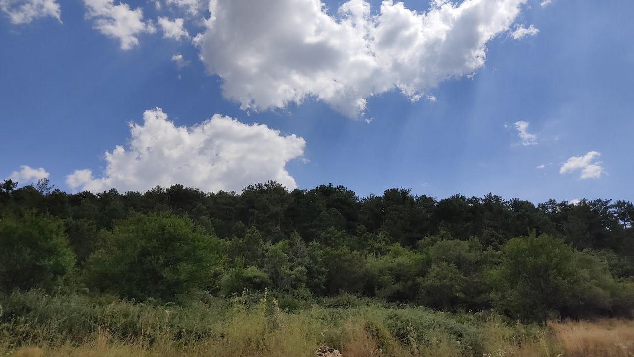 Denizli / Çardak / Söğüt