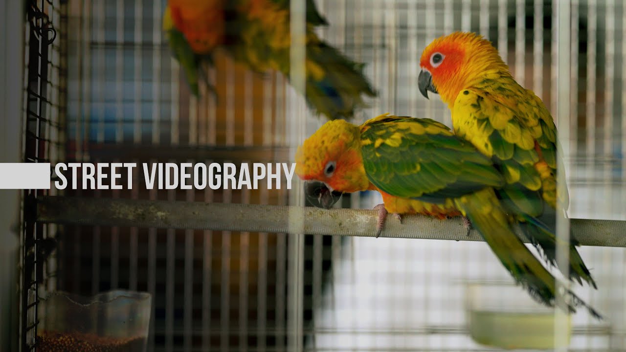 Slice of Life - Pudu Market |  Sony ZV-E1