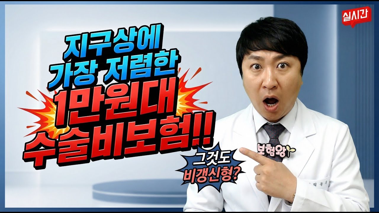 가장 저렴한 1만원대 수술비보험!! (조만간 없어질듯~)