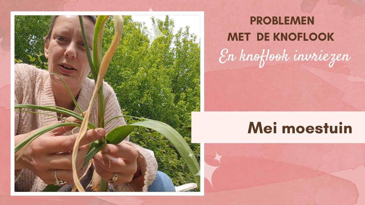 Problemen met onze knoflook | Knoflook invriezen