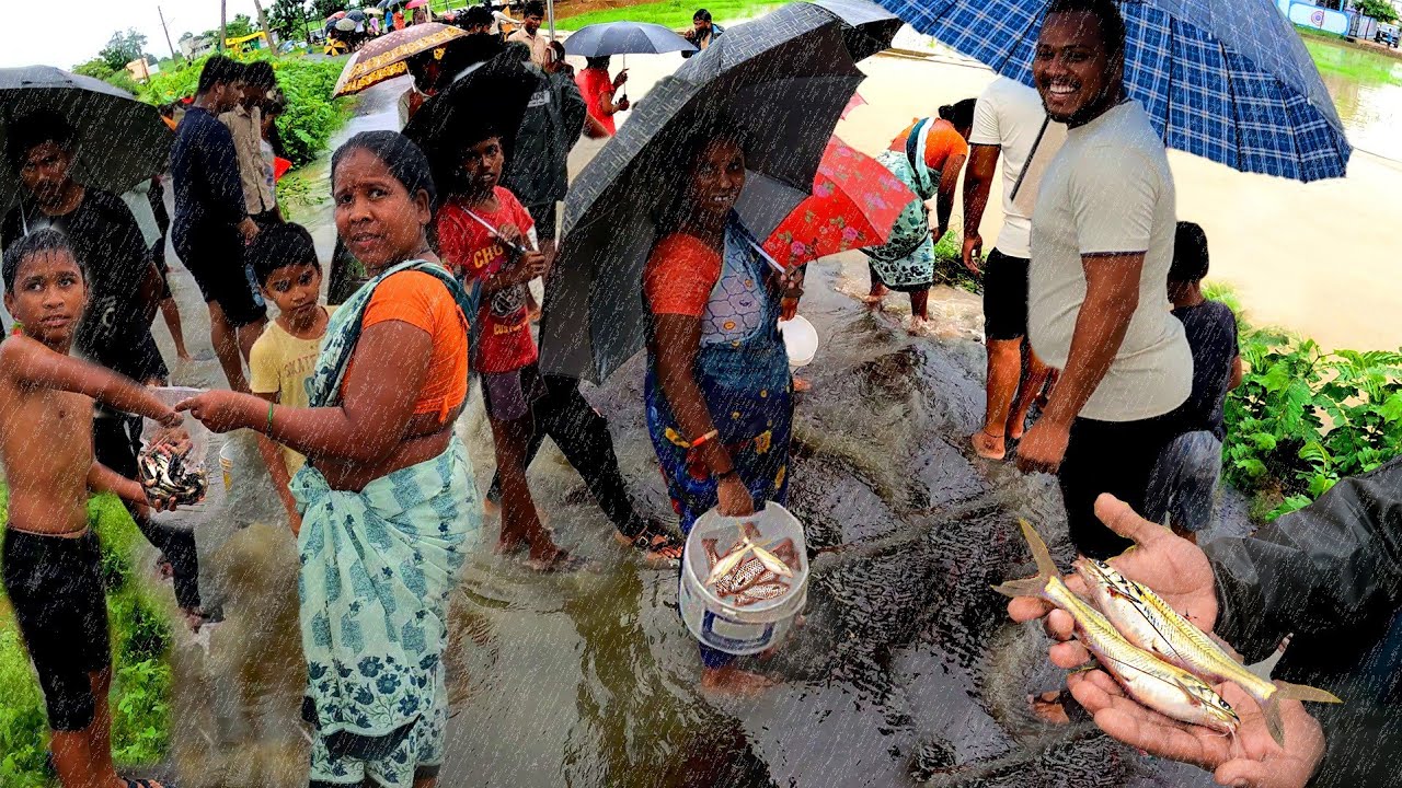 भर पावसात मासे पकडायला लोकांची झाली तुफान गर्दी, चढणीचे मासे आले अक्षरशः रस्त्यावर  😲😲