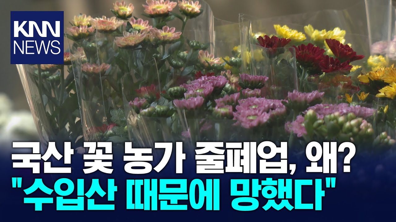 조화 퇴출에도 수입산 공세... 화훼농가 한숨만/ KNN