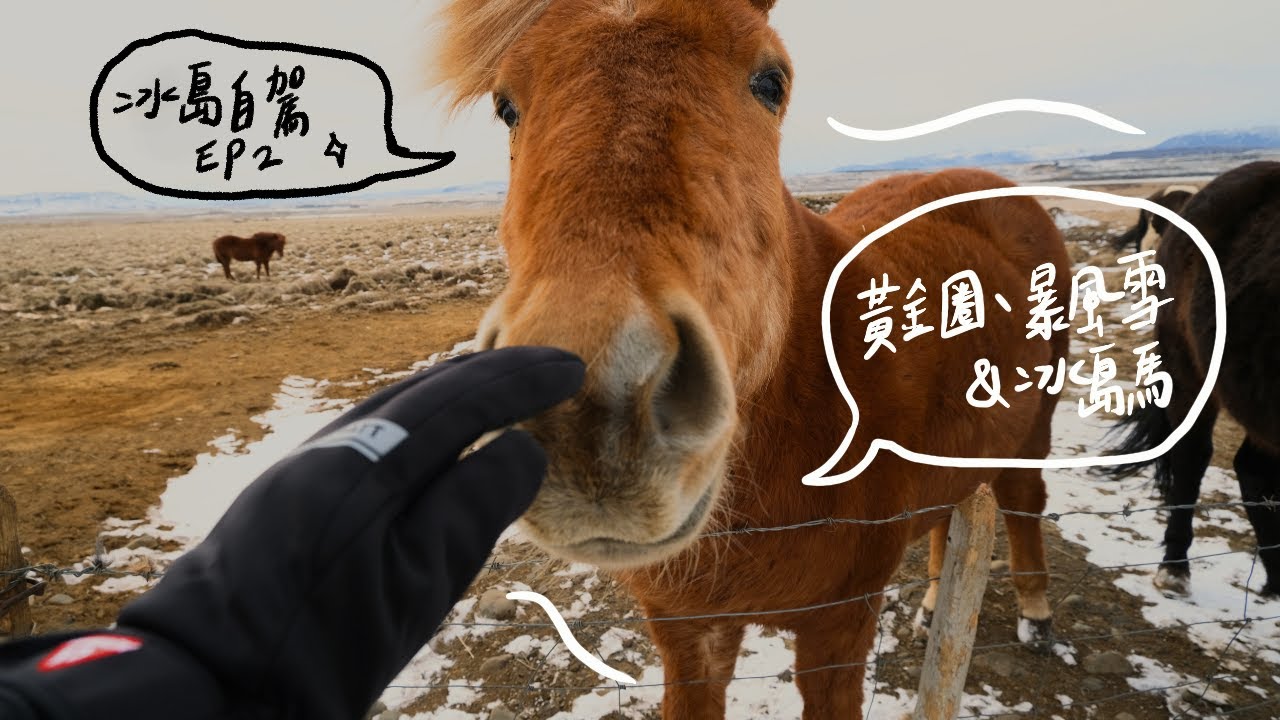 🇮🇸冰島露營車自駕環島 EP2｜世界盡頭的風景｜黃金圈｜暴風雪與冰島馬