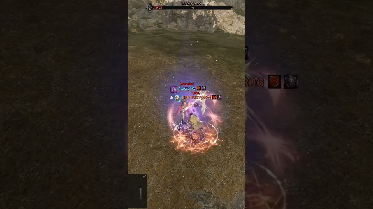 rise online battle priest 1 v 1 xd