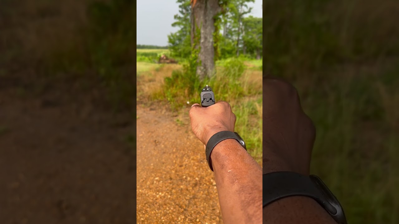 Smith and Wesson M&P 2.0. 40 Mag Dump ! #gun #viral