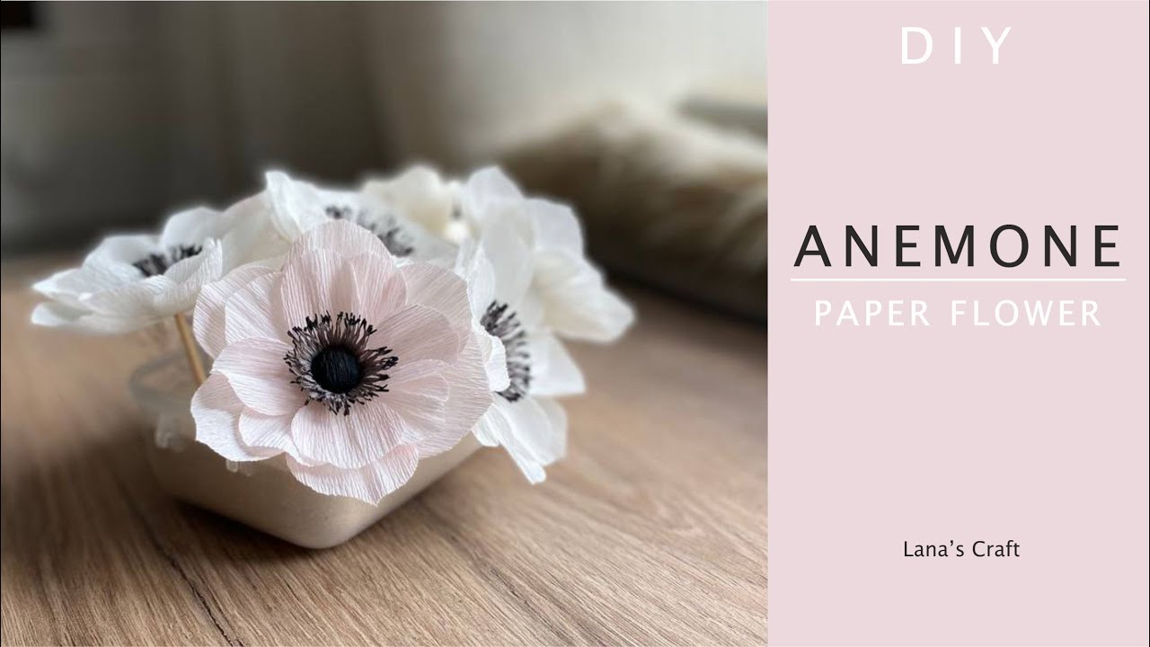 Paper Anemone Flower | Paper flowers | DIY