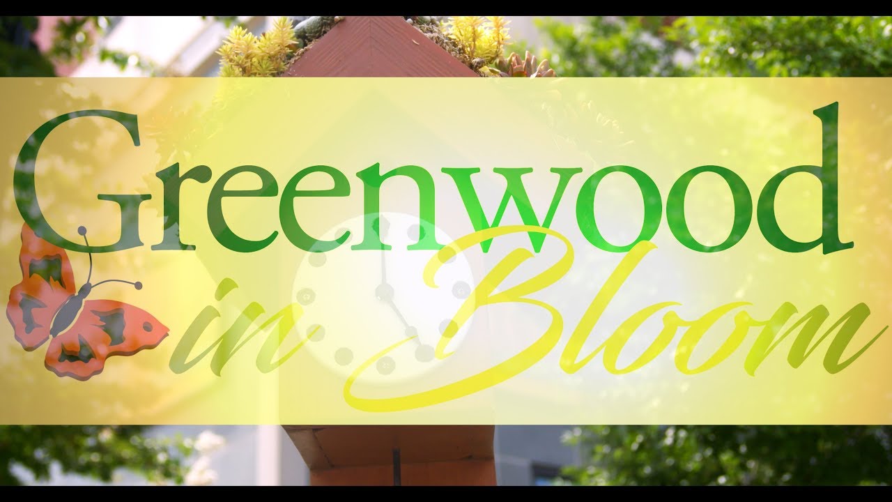 Greenwood In Bloom