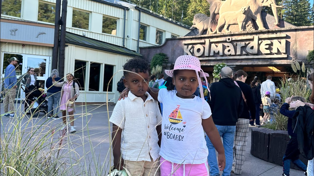 Magisk dag på Kolmården! | Djur, Safari & Bamses värld