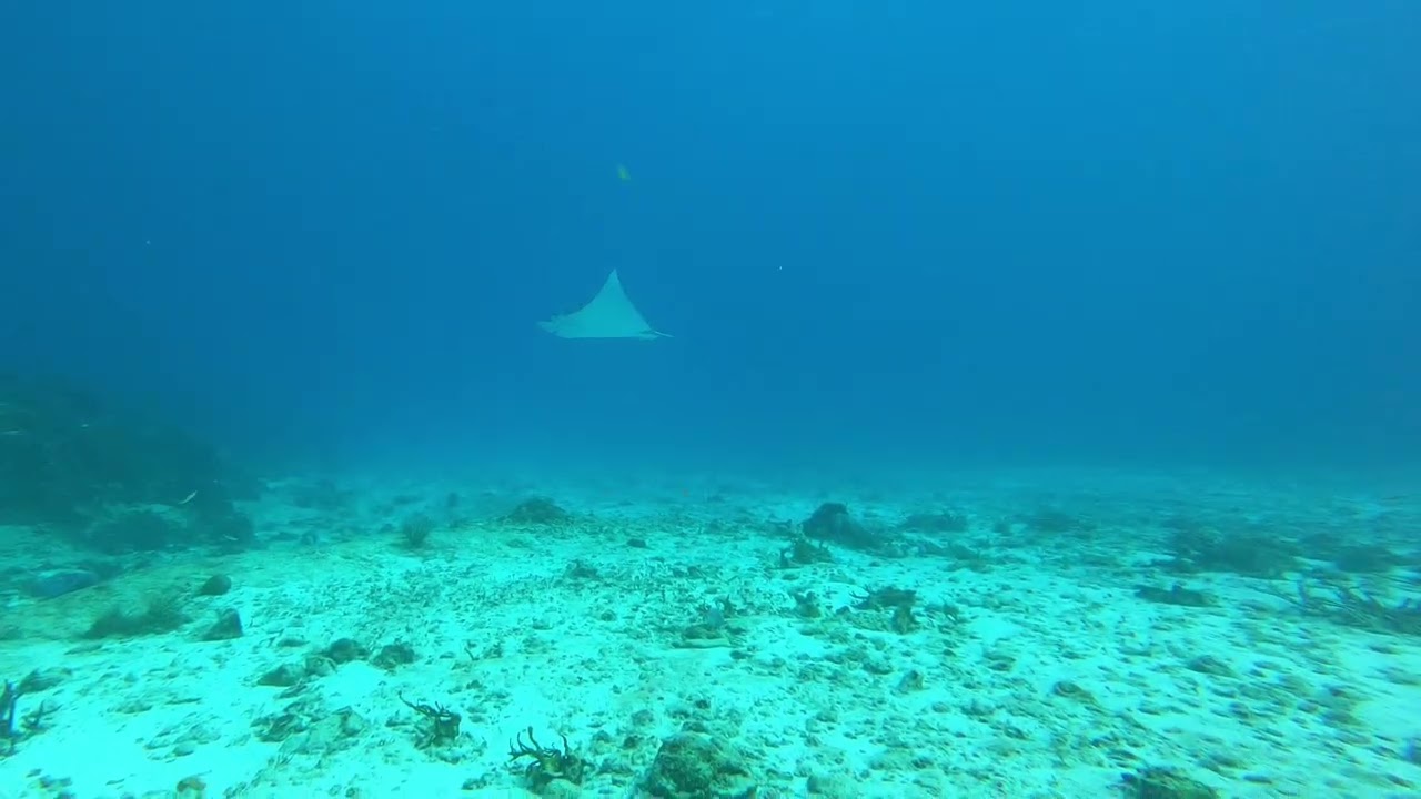 Santa Rosa Wall - Tunich @Cozumel