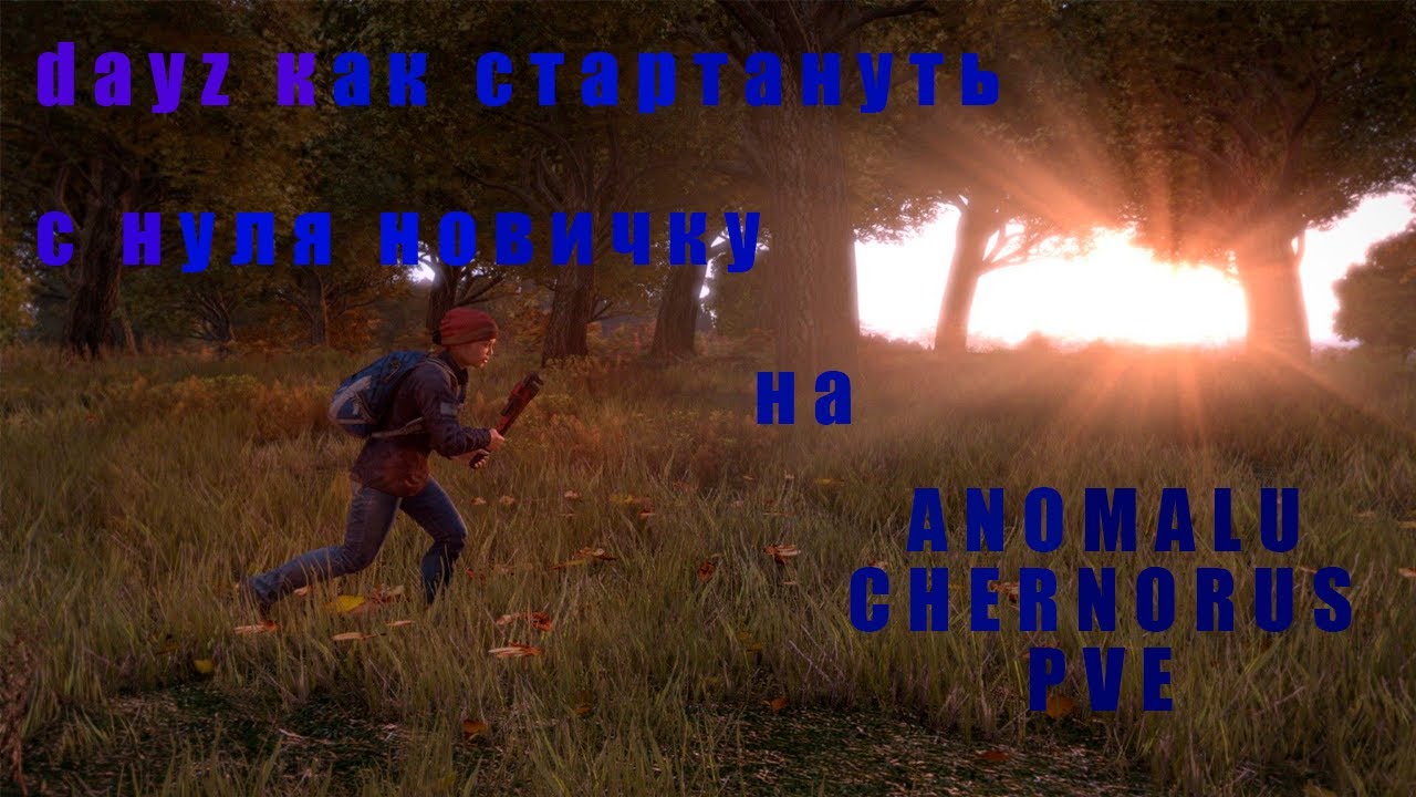 dayz как стартануть с нуля новичку на anomaly chernorus pve