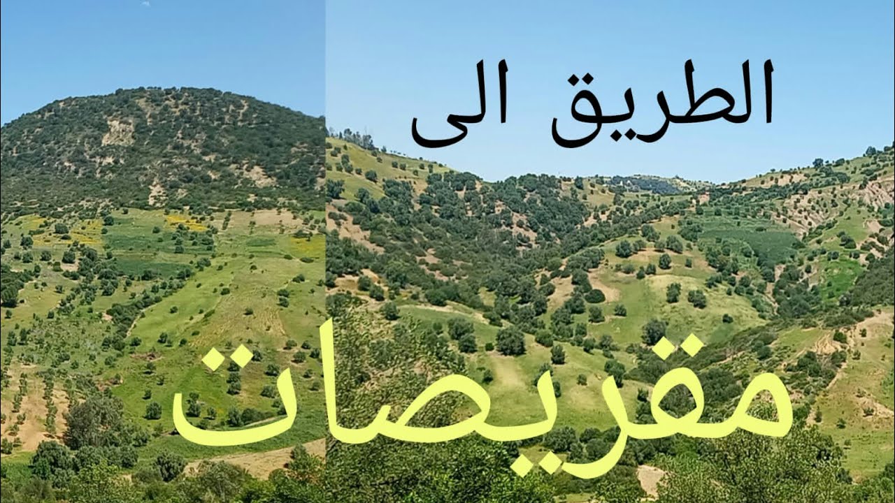 الطريق الى مقريصات نواحي وزان