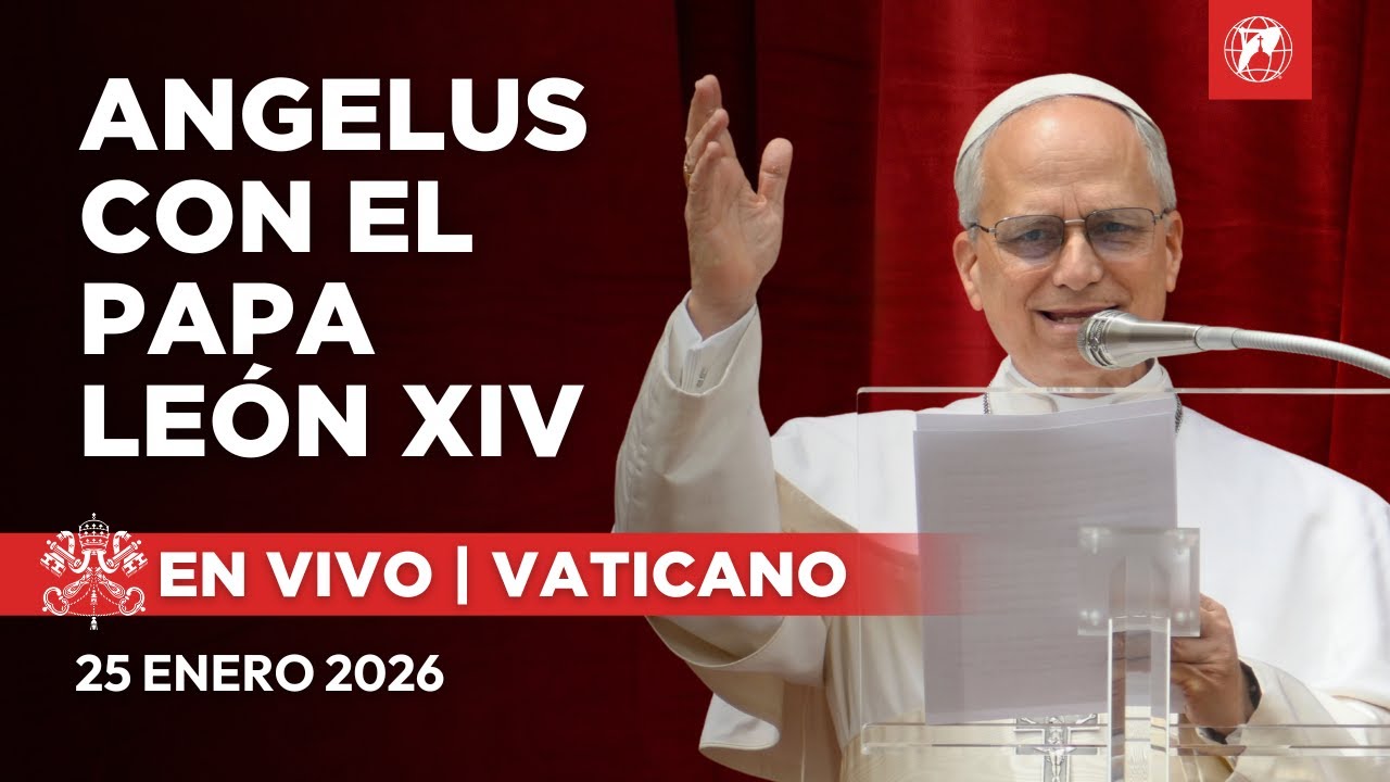EN VIVO | Ángelus del Papa León XIV desde el Vaticano | 25 de Enero de 2026