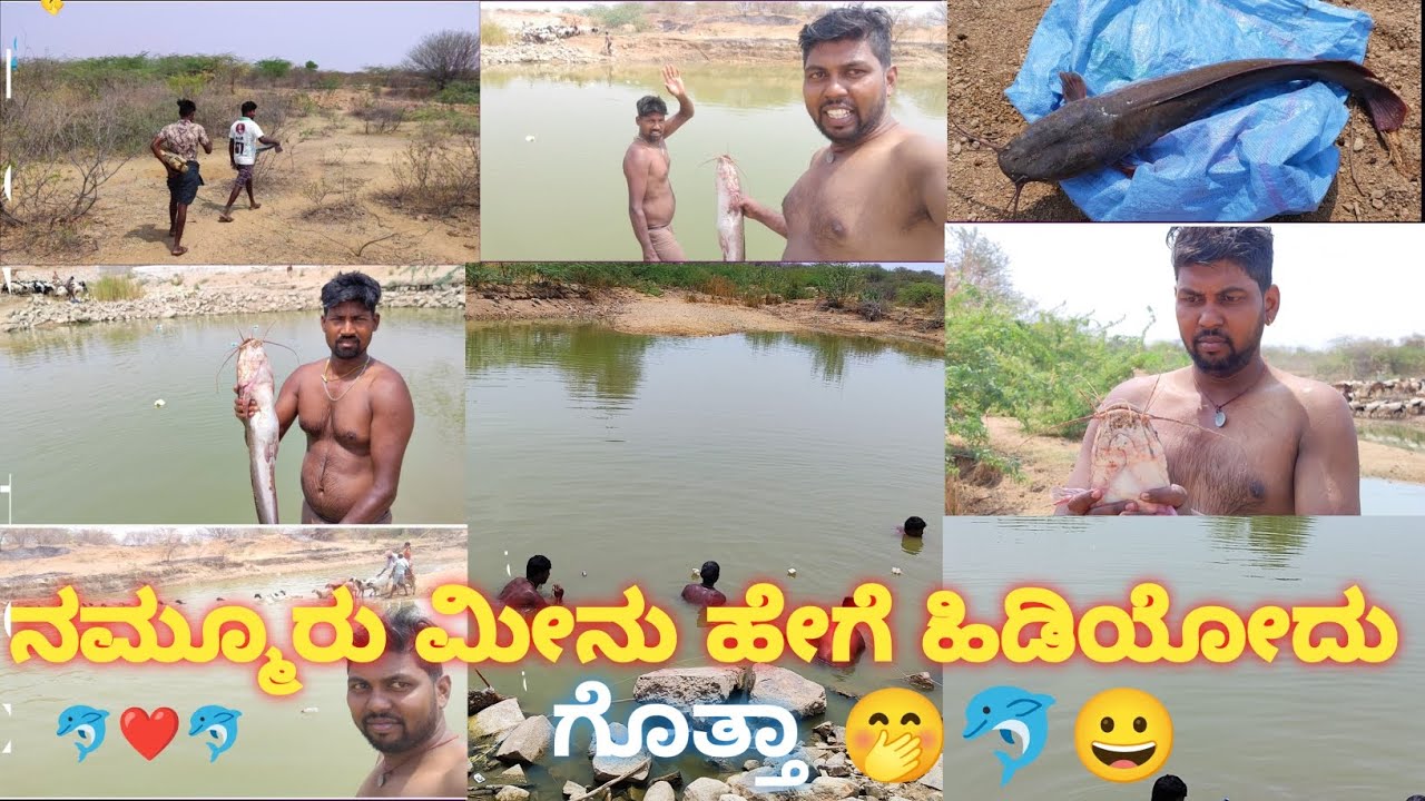 # ನಮ್ಮೂರು ಮೀನು ಹೇಗೆ ಹಿಡಿಯೋದು 🐬🌹# ಕನ್ನಡ❤️🐬❤️#youtubeshorts # like# viral🌹🐬👌🌹