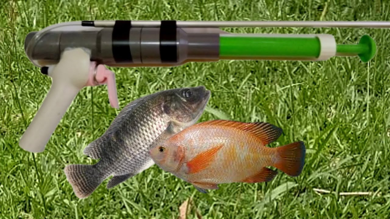 Membuat Unit Paser Ikan dari Pipa PVC dengan Pompa Tanam