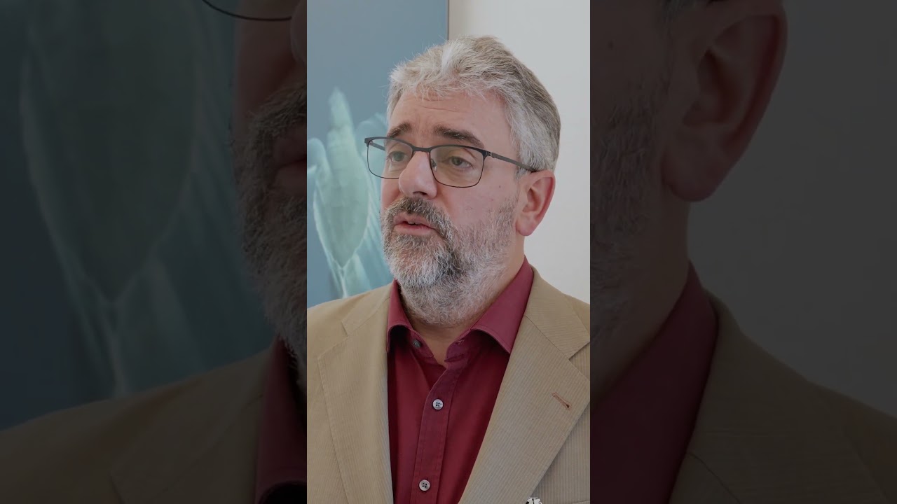 Statement Prof. Dr. Heinz Rothgang (SOCIUM Bremen) zum Gesundheitspolitischen Kolloquium Bremen 2025