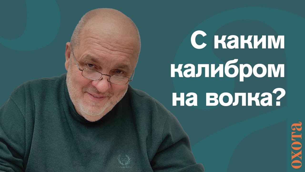С каким калибром на волка? Валерий Кузенков о выборе патрона на хищника.