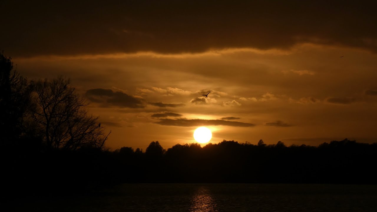 #25  Westbere Marshes