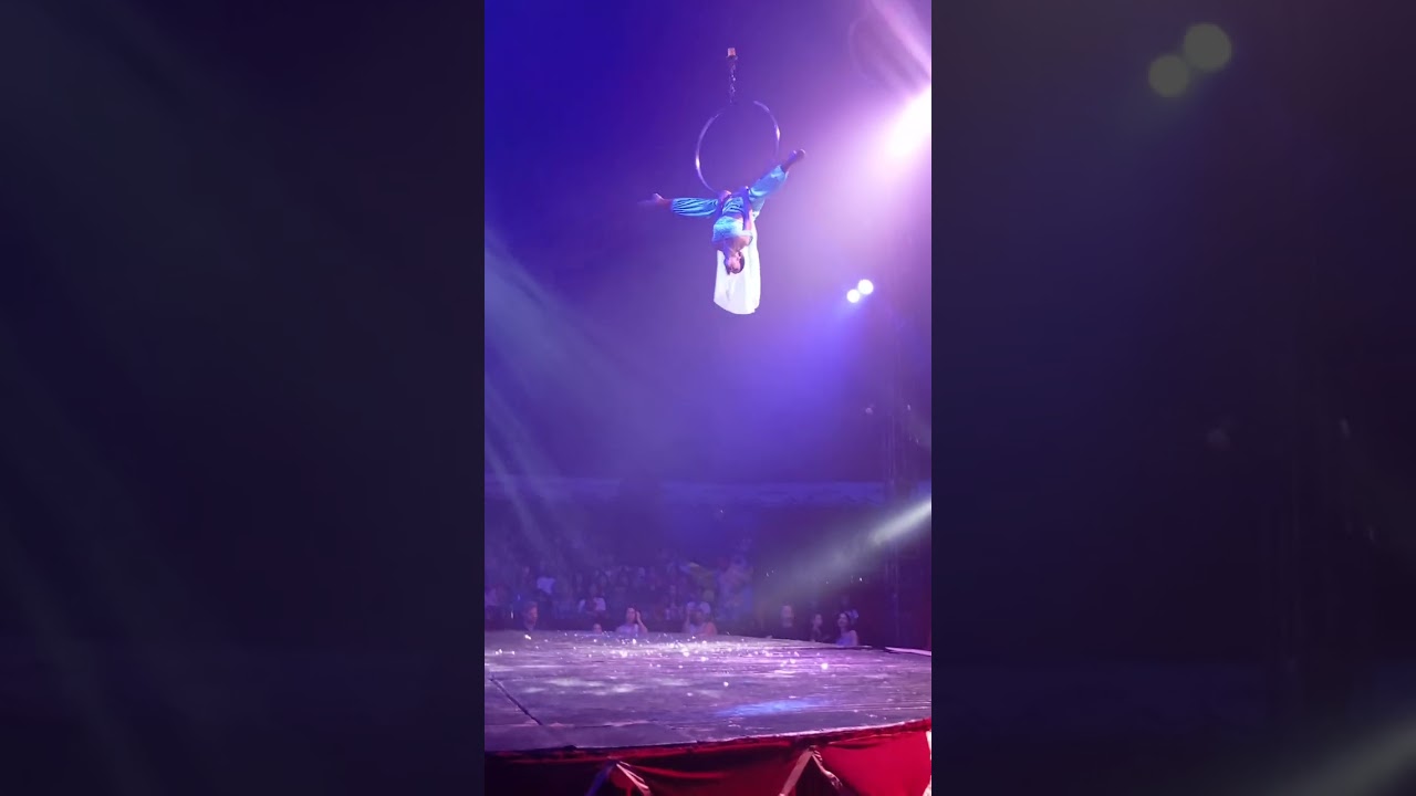 #animação #circus #diversão #risadas #comedia 🔥🔥