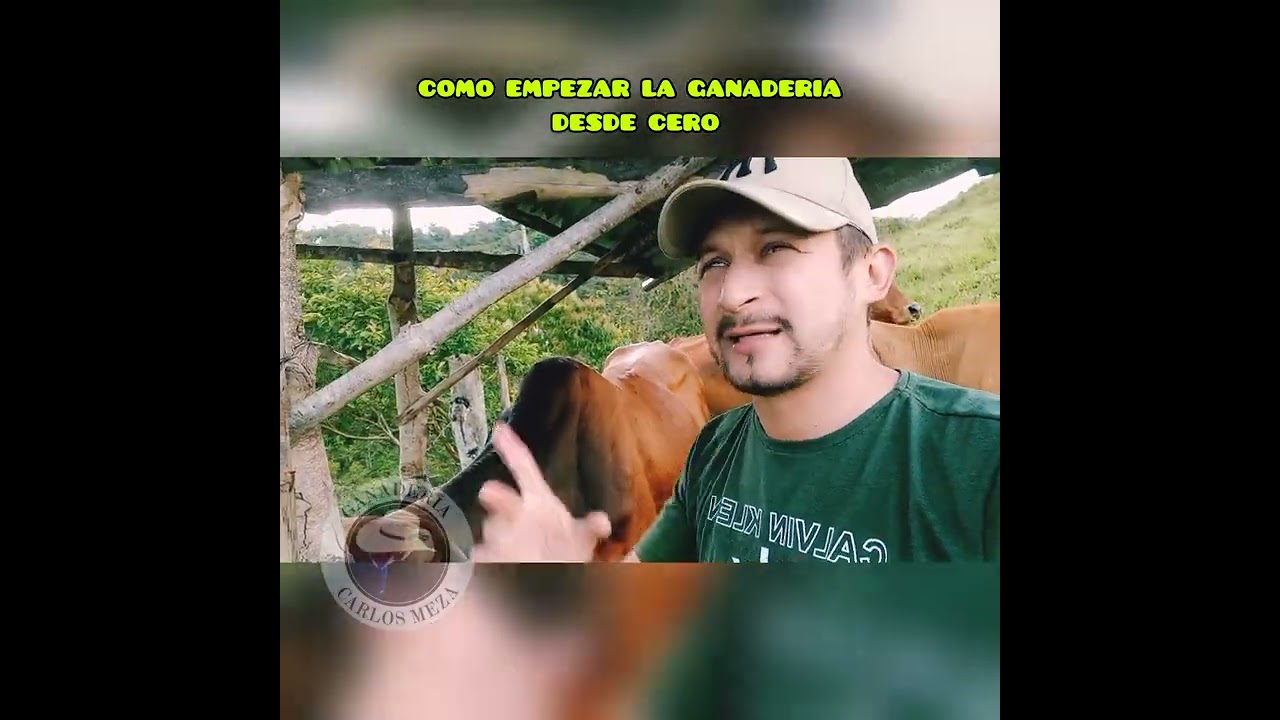 Como empezar la Ganader&iacute;a siendo principiante 🤔🤠🤝🌎