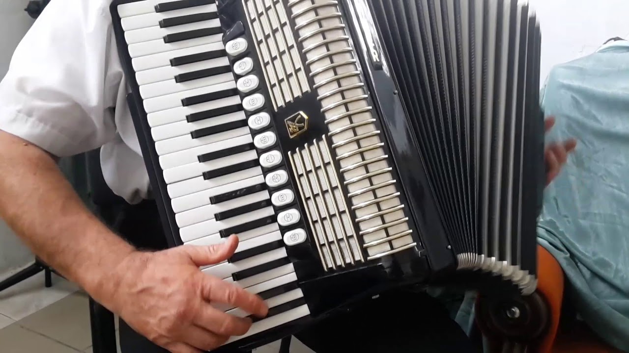 Hohner Verdi V 120 bass Musette LMMM Accordion Akkordeon Fisarmonica + Case (1)