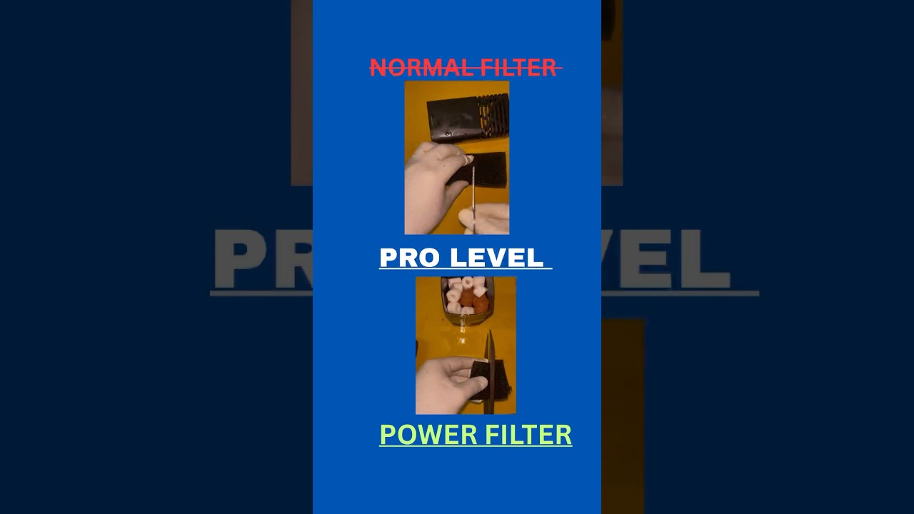 PRO LEVEL POWER FILTER #aquariumfilter #filter #fish #fishmedicine #fishfood #fishtank #shorts #yt