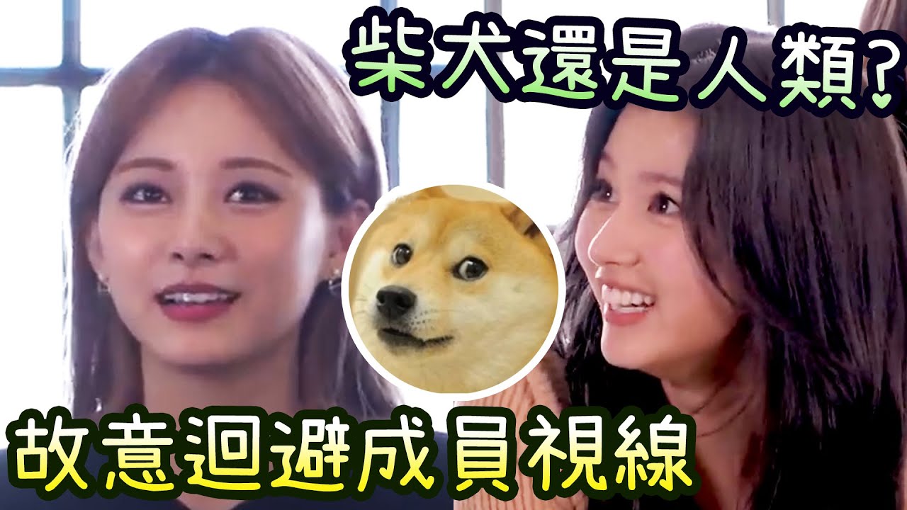 Twice子瑜舞台上故意避成員視線怕爆笑! 是Sana還是柴犬 讓人分不清! (TWICE)