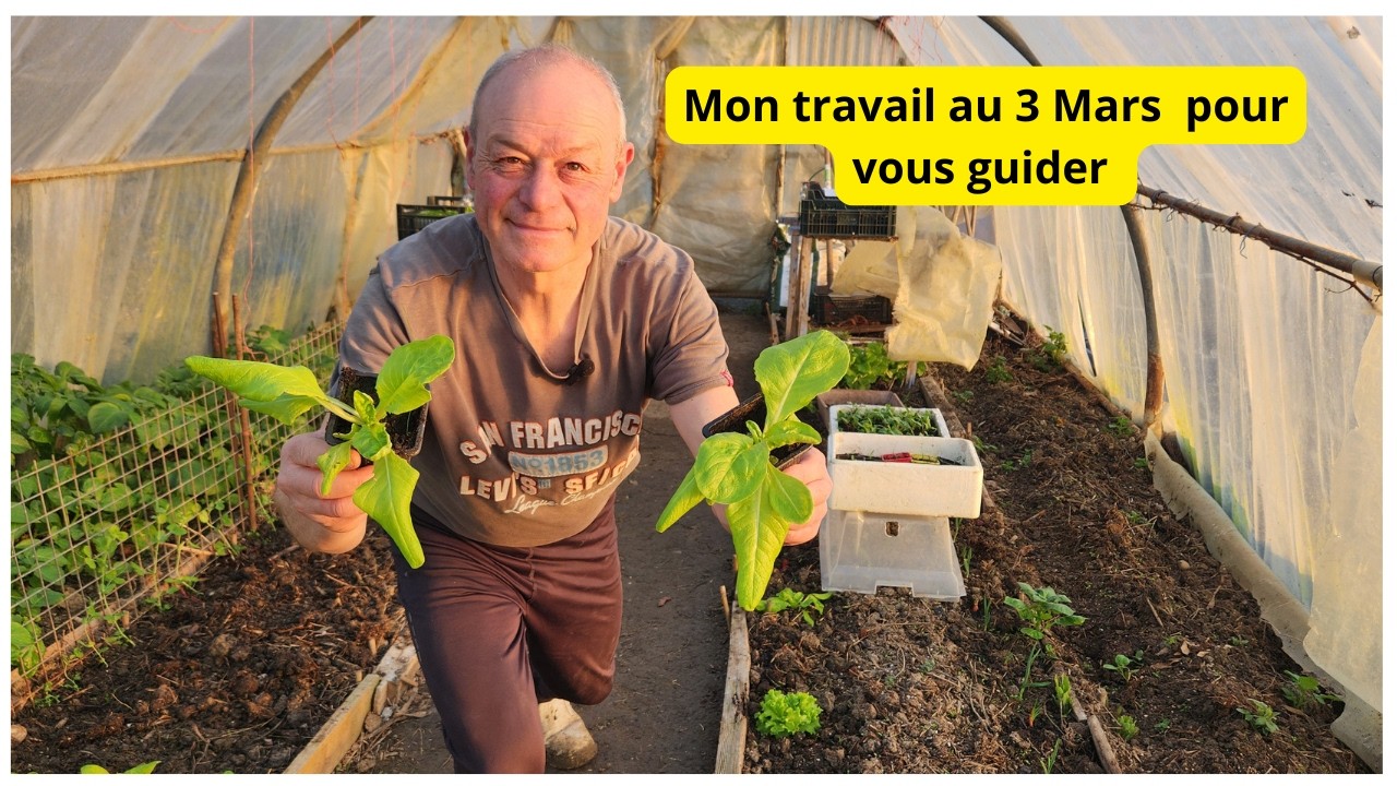 3 mars au jardin bien travailler  !