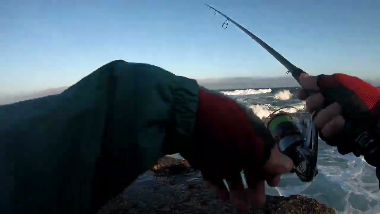 Manhã de peixe miúdo