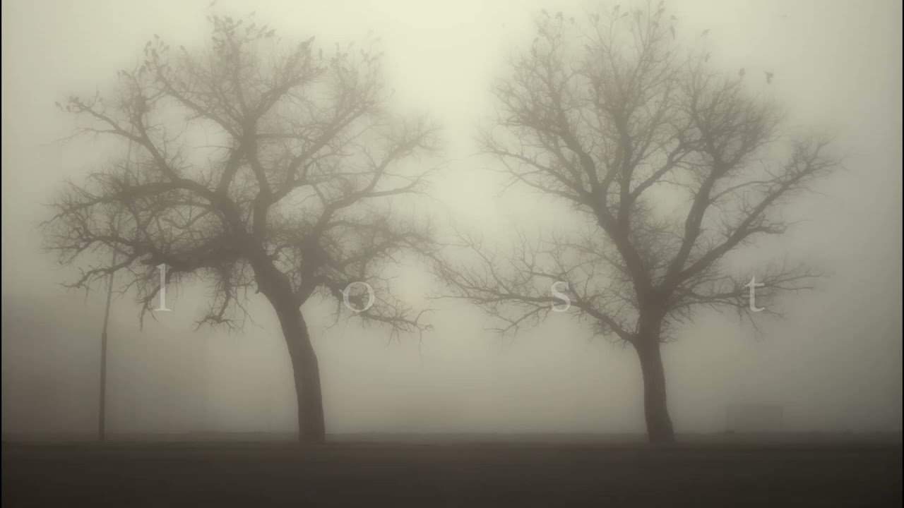 foggy //ambient